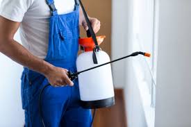 Emergency Pest Control Services in Osage Beach, MO